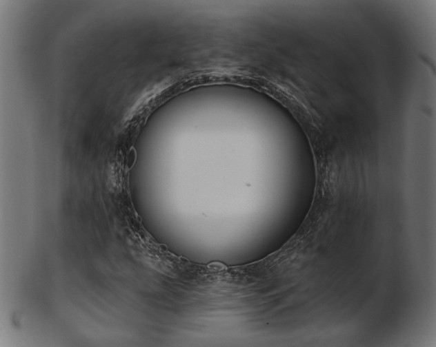 X0000103471207200809121620