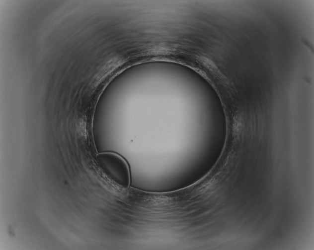 X0000103471209200809121620