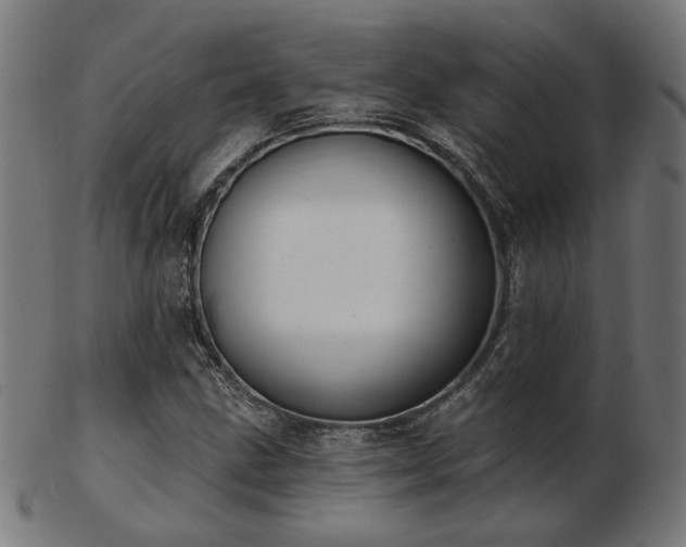 X0000103471211200809121620