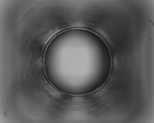 X0000103471212200809121620