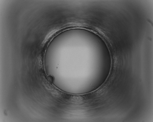 X0000103471215200809121620