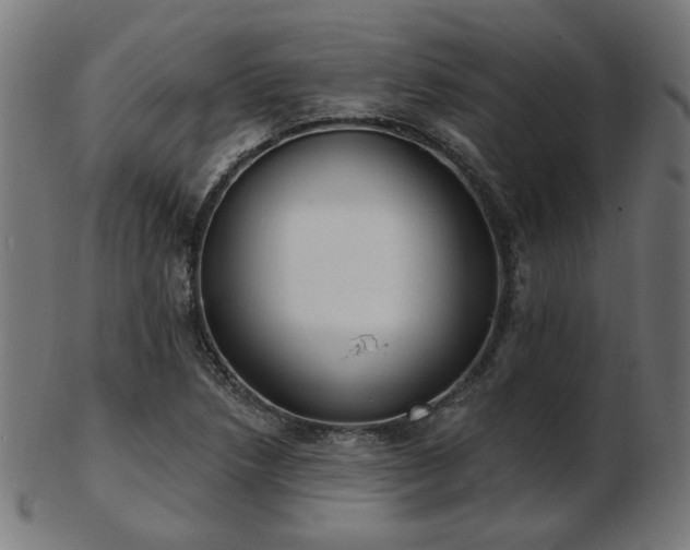 X0000103471218200809121620