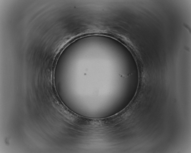 X0000103471220200809121621