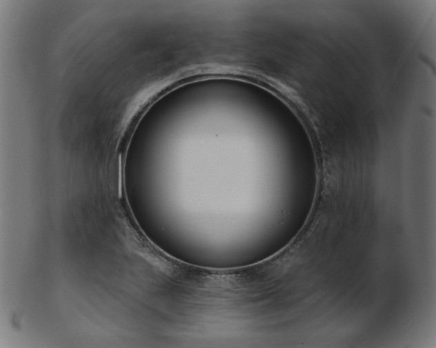 X0000103471223200809121621