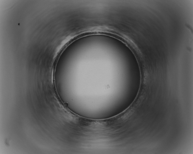 X0000103471224200809121621