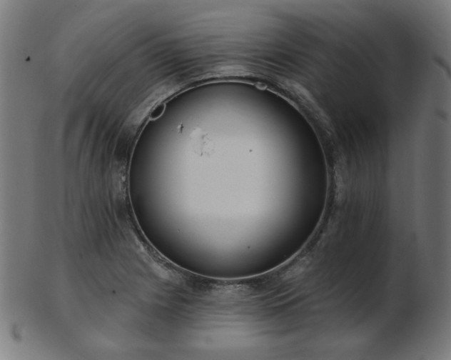 X0000103471225200809121621