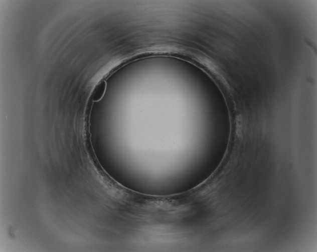 X0000103471229200809121621