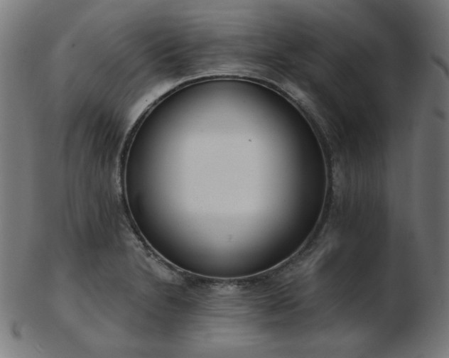 X0000103471230200809121621