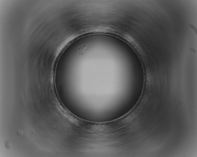 X0000103471232200809121621