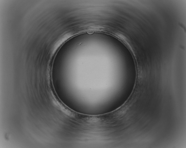 X0000103471235200809121621