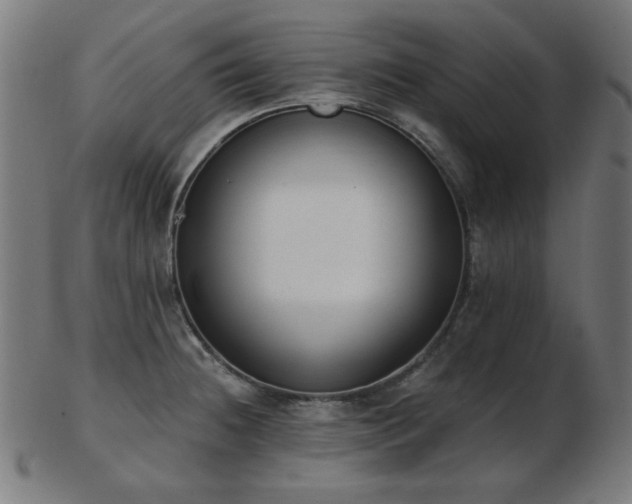 X0000103471236200809121621