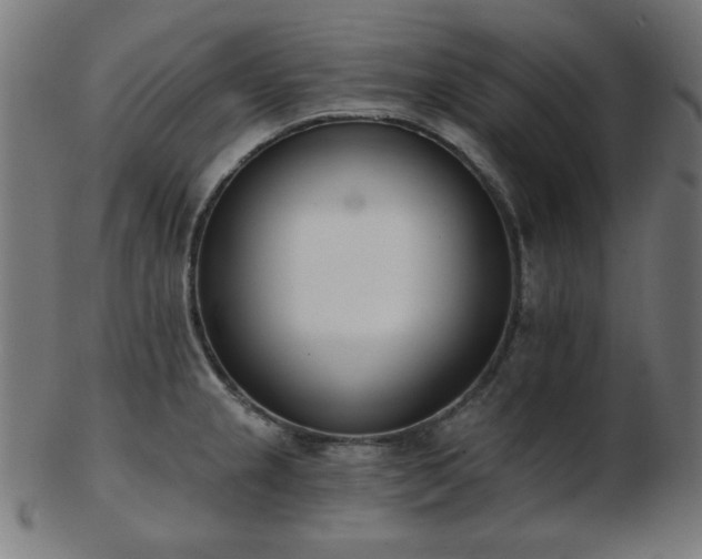 X0000103471237200809121621