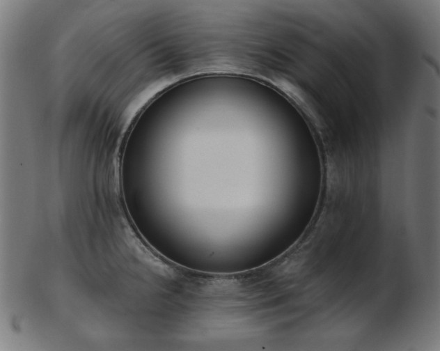 X0000103471238200809121621