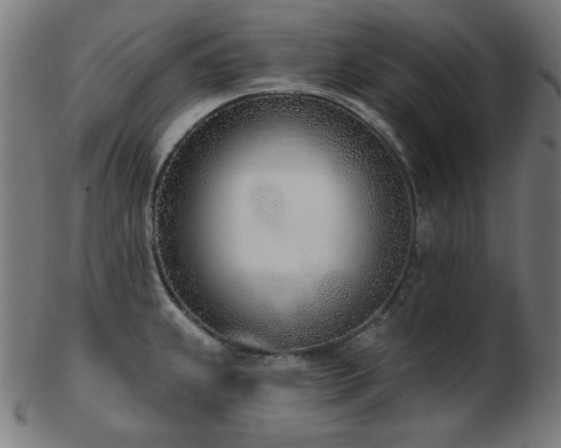 X0000103471239200809121621