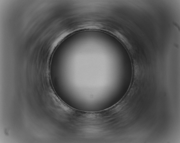 X0000103471240200809121621