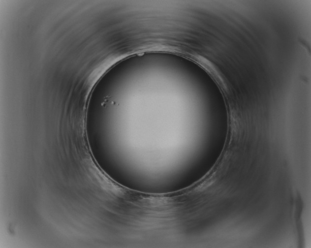 X0000103471244200809121621