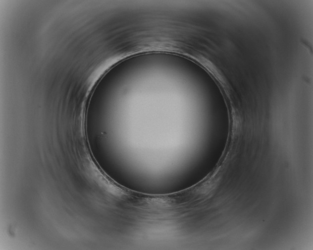 X0000103471246200809121621