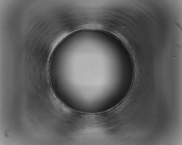 X0000103471248200809121621