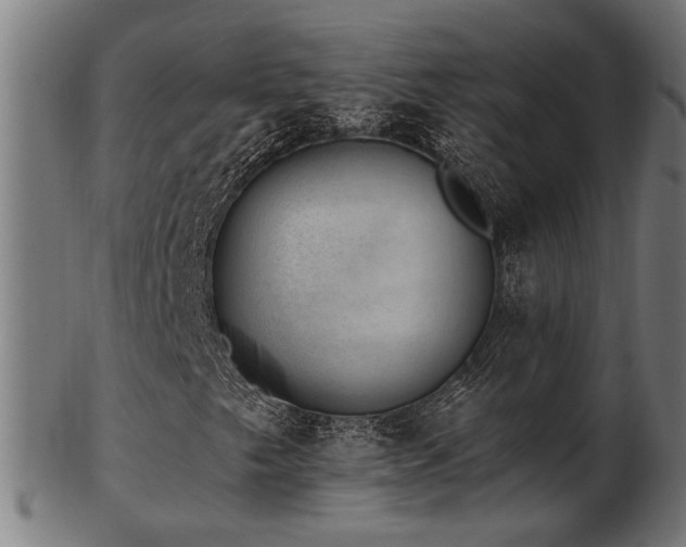 X0000103471249200809121620