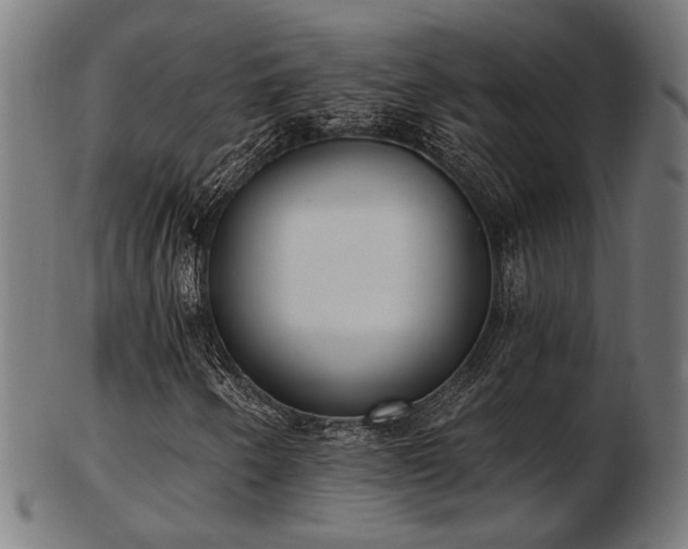 X0000103471250200809121620