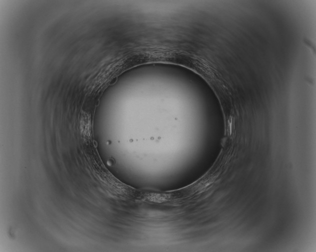 X0000103471251200809121620