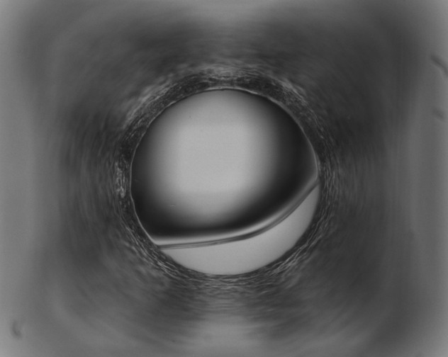 X0000103471253200809121620