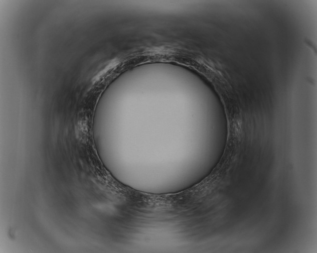 X0000103471254200809121620