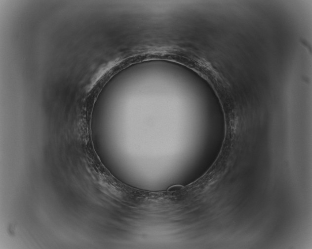 X0000103471256200809121620