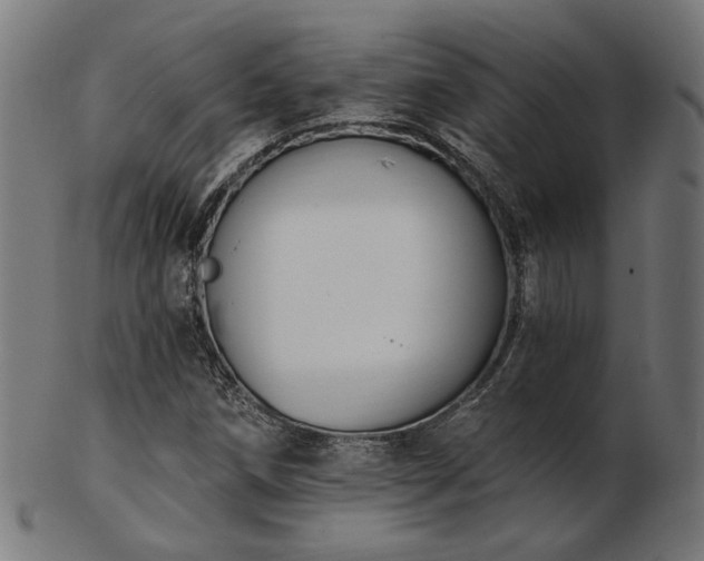 X0000103471258200809121620