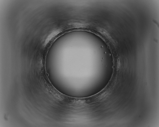 X0000103471261200809121620