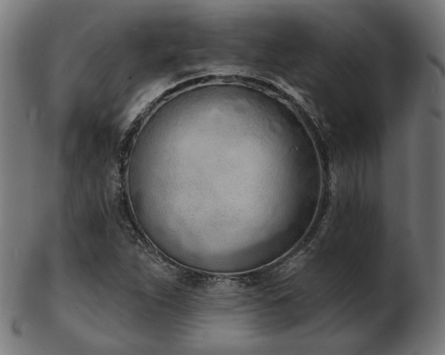 X0000103471263200809121620