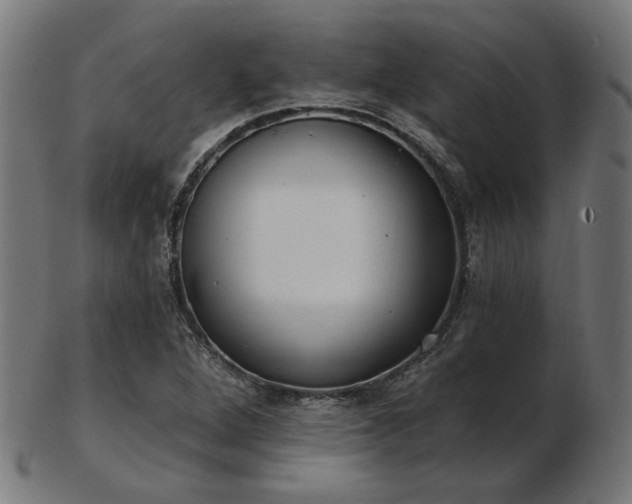 X0000103471264200809121620