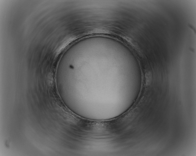 X0000103471266200809121620