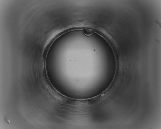 X0000103471270200809121620