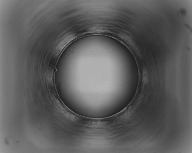 X0000103471273200809121620