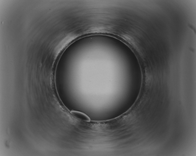 X0000103471277200809121620