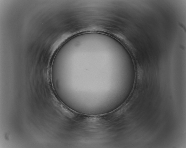 X0000103471278200809121620