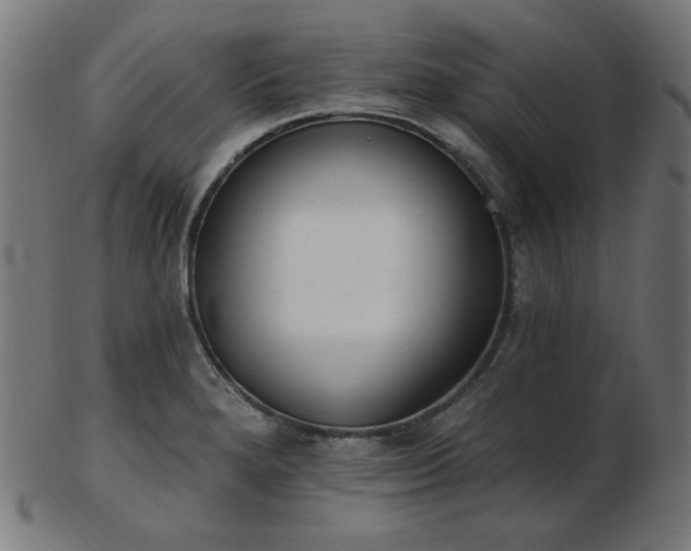 X0000103471280200809121620