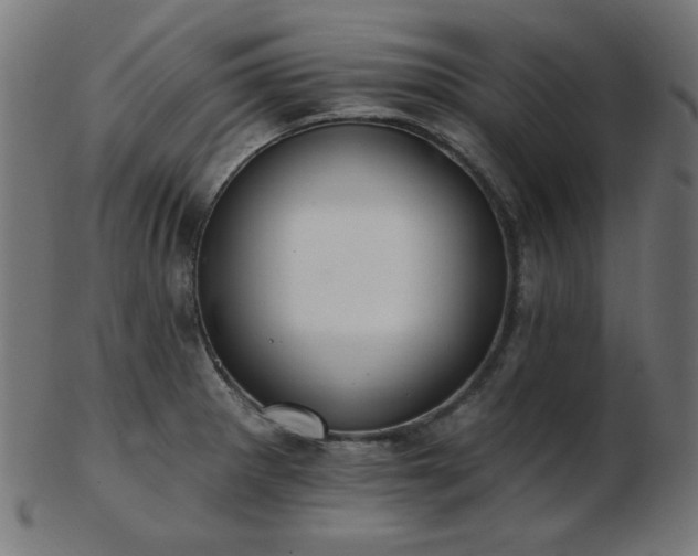 X0000103471281200809121620