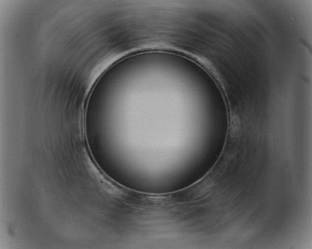 X0000103471295200809121620