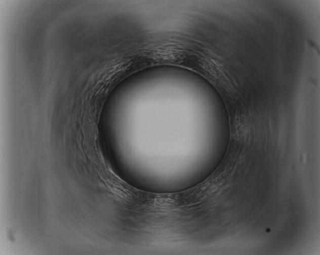 X0000103471297200809121619