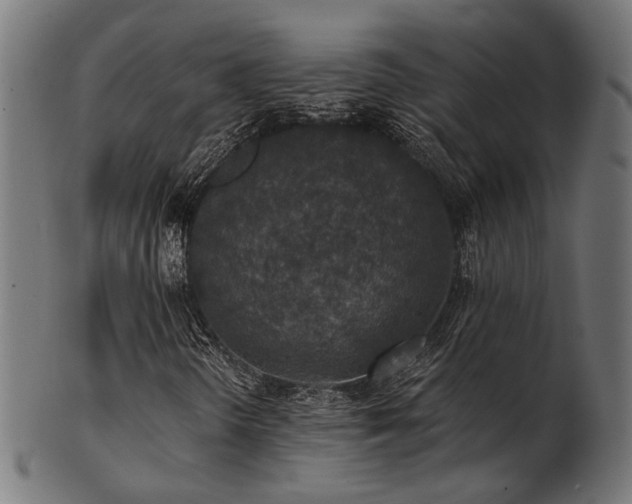 X0000103471298200809121619