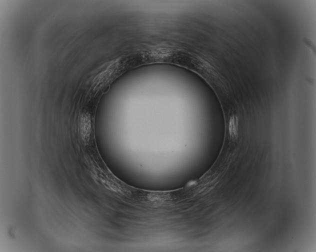 X0000103471299200809121619