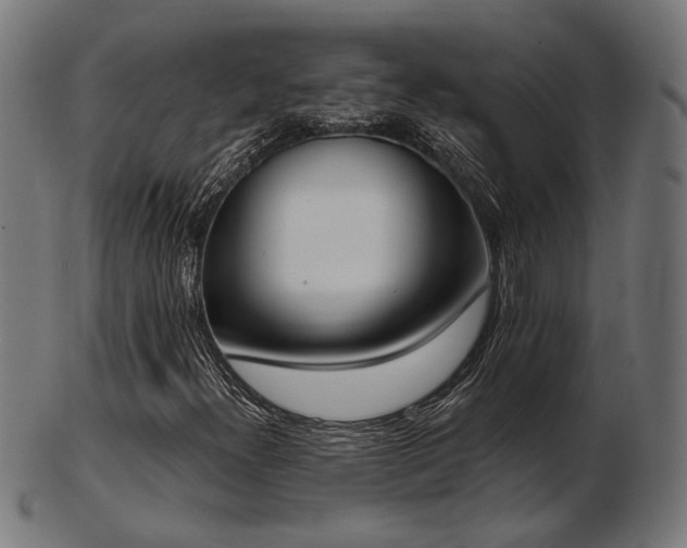 X0000103471300200809121619