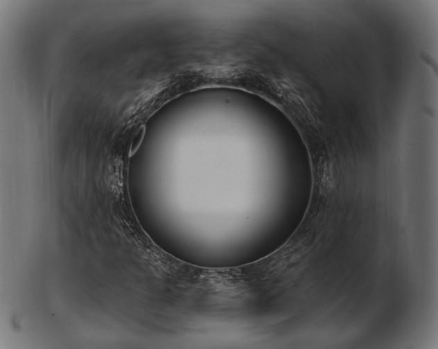 X0000103471301200809121619