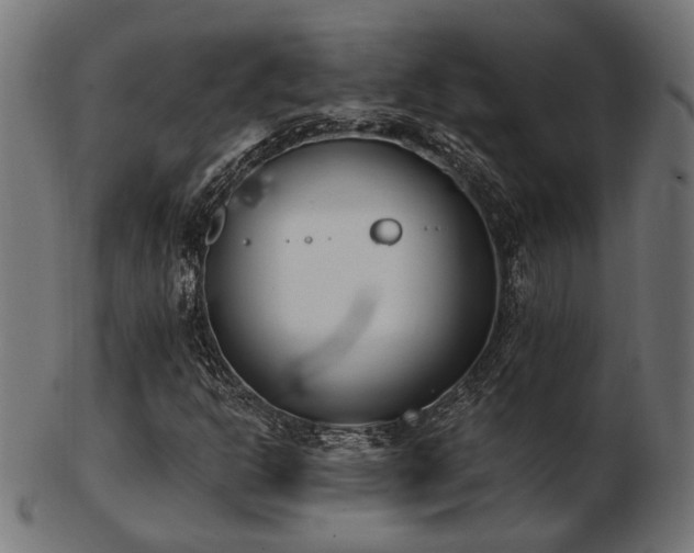 X0000103471302200809121619