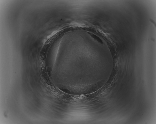 X0000103471303200809121619