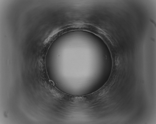 X0000103471304200809121619