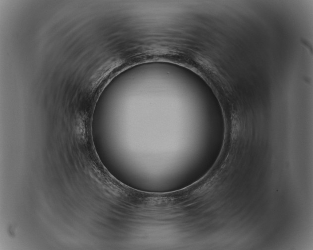 X0000103471305200809121619