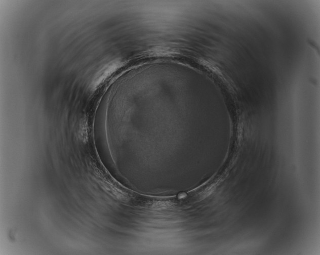 X0000103471306200809121619